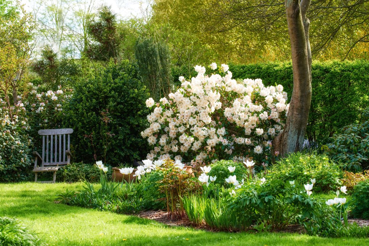 Ruhe im eigenen Garten — der perfekte Rückzugsort in Tuttlin