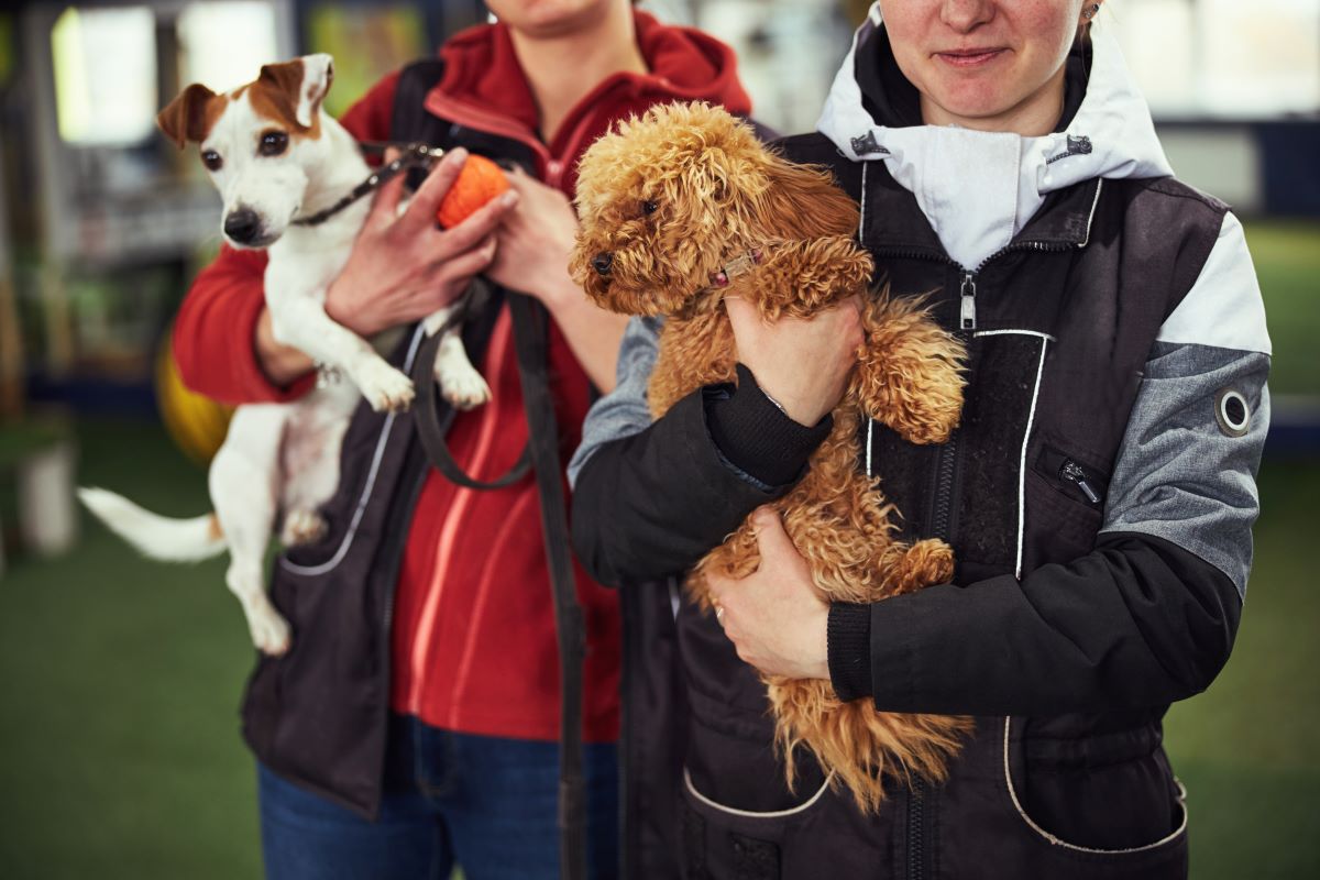 Tier adoptieren in Tuttlingen | Tierheim statt Züchter